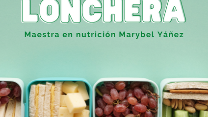 Product image for E-book Practi-lonchera