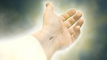 Product image for Evidence for the Resurrection (Available Summer 2024)