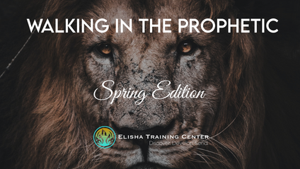 Product image for Walking In The Prophetic