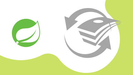 Product image for Spring Core