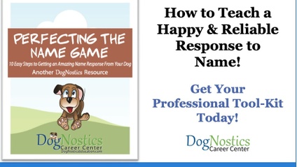 Product image for 10 Steps to An Amazing Response to Name - Your Professional Tool-Kit