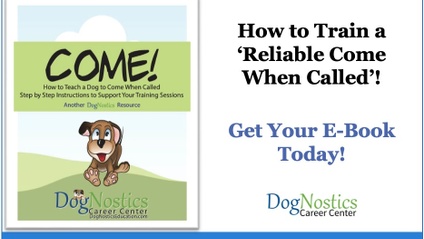 Product image for E-WorkBook - How to Train a Reliable Come When Called