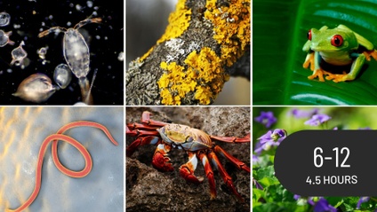 Product image for Life Science Literacy for Elementary Teachers