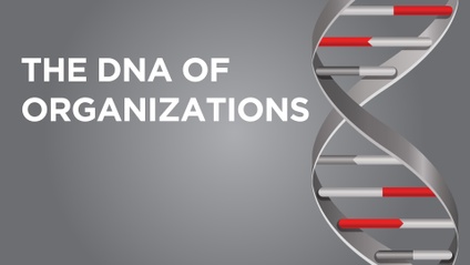 Product image for The DNA of Organizations