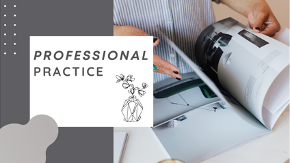 Product image for Professional Practice
