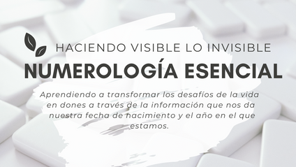 Product image for Numerología Esencial