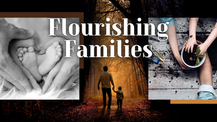 Product image for Flourishing Families