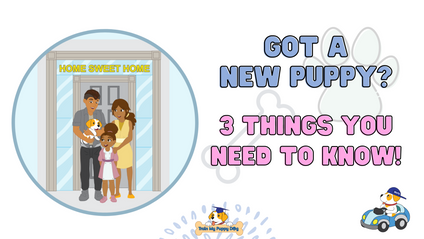 Product image for Got A New Puppy - 3 Things You Need To Know!  FREE MINI COURSE