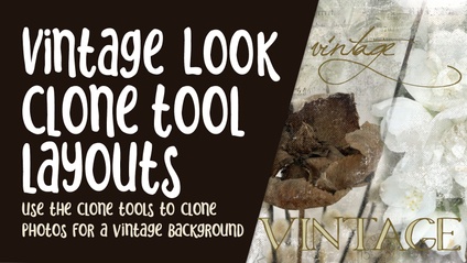 Product image for PRO 054 - Vintage Look Collage in Procreate Using the Clone Brush