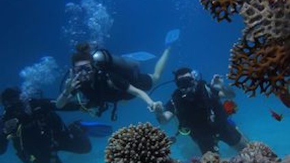 Product image for Open Water Diver Exam Prep