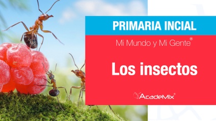 Product image for 2º. 16. Los insectos (Alumno)
