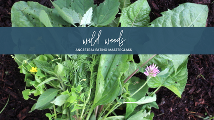 Product image for Wild Weeds Ancestral Eating Masterclass