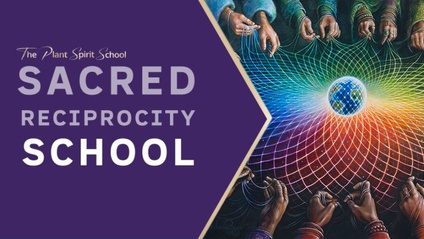 Product image for Sacred Reciprocity School