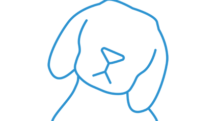 Product image for Vestibular Disease