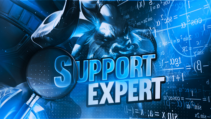 Product image for SUPPORT EXPERT