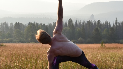 Product image for The Anatomy of Asana