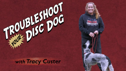 Product image for Troubleshoot Your Disc Dog