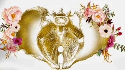 Product image for Urinary Incontinence Solutions: Find YOUR Why