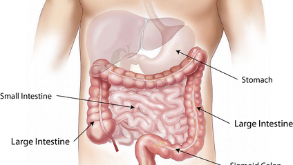 Product image for Manual Therapy for Constipation Relief