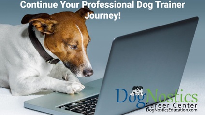 Product image for Gain Your Dog Training Journeyman Course Certificate!