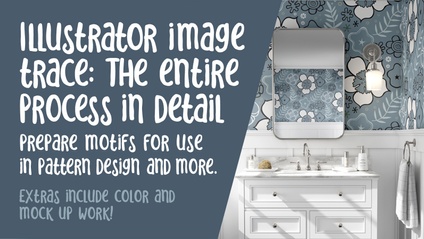 Product image for Illustrator Image Trace: The Entire Process in Detail