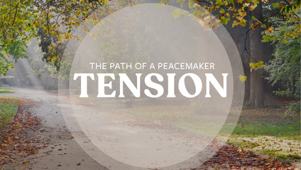 Product image for TENSION Toolbox