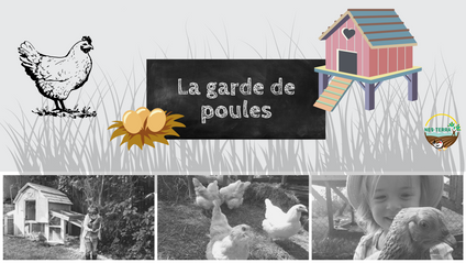 Product image for La garde de poules, tout naturellement