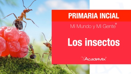 Product image for 2º. 16. Los insectos (Maestro)