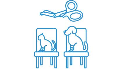 Product image for Triage for Veterinary Technicians