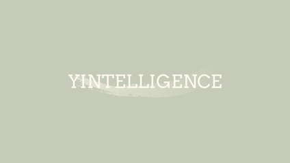 Product image for A Bundle of Yintelligence