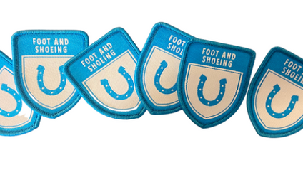 Product image for The Foot and Shoeing
