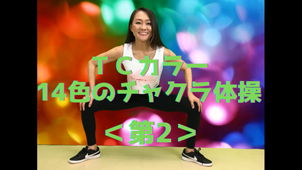 Product image for 【第2】 TCカラー１４色のチャクラ体操
