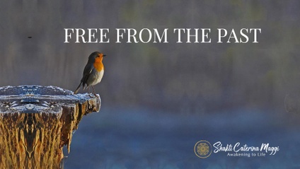 Product image for Free From the Past