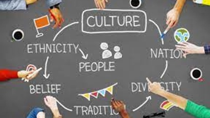 Product image for Cultural Diversity