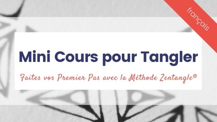 Product image for Mini Cours pour Tangler