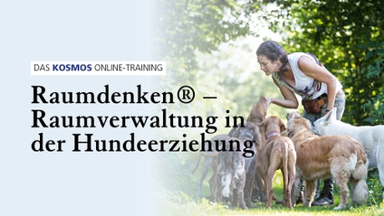 Product image for Raumdenken – Raumverwaltung in der Hundeerziehung