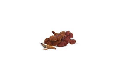Product image for  Especialista en Micoterapia y MTC