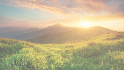 Product image for Pain Management: Incorporating Mindfulness into Occupational Therapy Interventions Addressing Persistent Pain