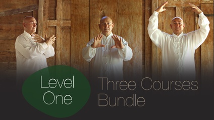 Product image for Level One 3 Courses Bundle (Module 1 of 200hr QTT)
