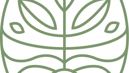 Product image for Foundations for Optimizing Fertility