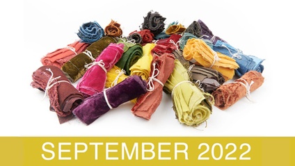 Product image for The Natural Dye Workshop - September 2022