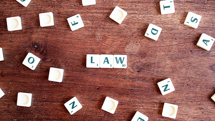 Product image for E-book - Introduction To The EEOC Acknowledgement Order: How To Read The EEOC Federal Regulation