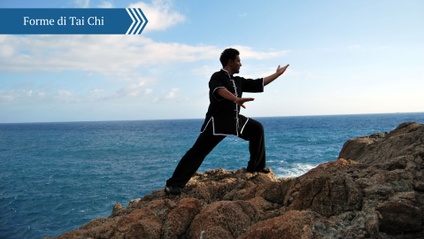 Product image for Forme di Tai Chi