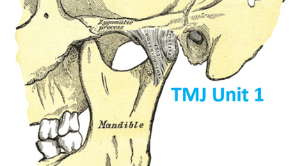 Product image for TMJ Unit 1: Anatomy, Physiology & Pain/Dysfunction