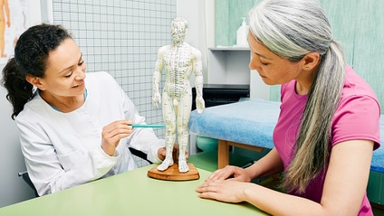 Product image for From Practitioner to Professor