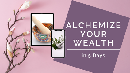 Product image for Alchemize Your Wealth in 5 Days