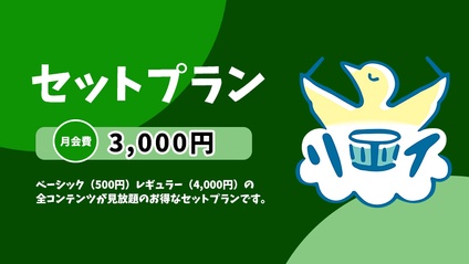 Product image for お得なセットプラン【リエイまみれ】
