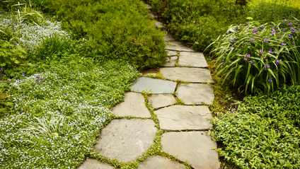Product image for Turn Roadblocks into Steppingstones Meditation and Journaling Experience