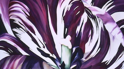 Product image for 1. Masterclass Series - Bold Brushstrokes