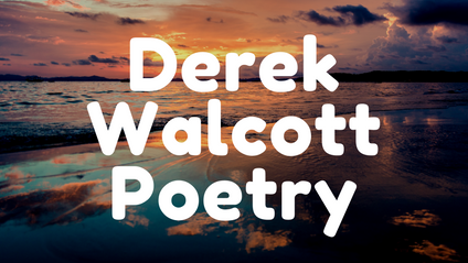 Product image for Derek Walcott Poetry